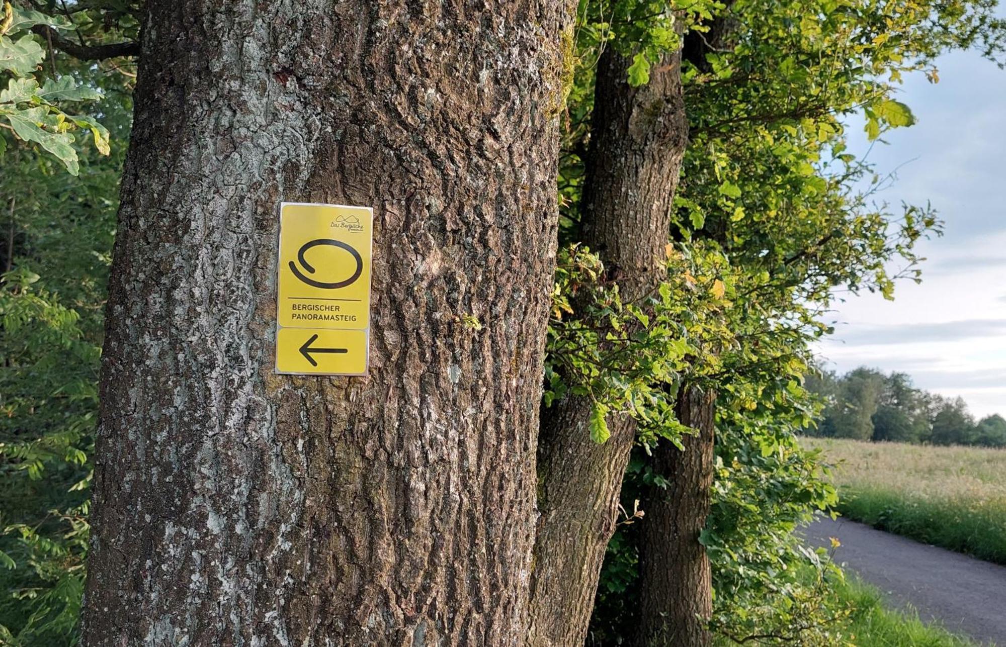 Ferienwohnung Waldbroel - Nahe Naturerlebnispark Waldbrol Ngoại thất bức ảnh